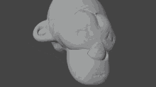 suzane 3d