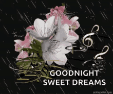 Goodnight Sparkle GIF - Goodnight Good Night GIFs