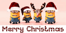 despicable me celebrate minions merry christmas