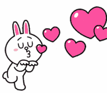 cony love brown cony brown line