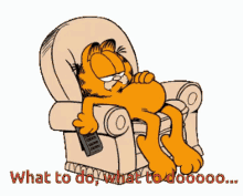 boredom what to do garfield stay at home stay safe