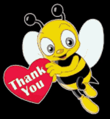 Thank You GIF - Thank You Bee GIFs