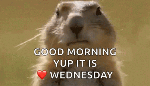 Wednesday Good Morning GIF - Wednesday Good Morning Happy - Discover &amp;  Share GIFs