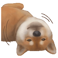 Animal Shiba Sticker - Animal Shiba Dog Stickers