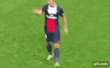 Ibrahimovic Zlatan GIF - Ibrahimovic Zlatan Death GIFs
