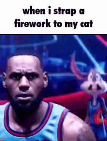 Firework Cat GIF - Firework Cat Fireworks GIFs