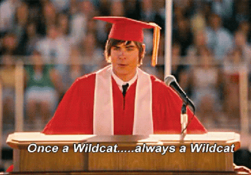 Wildcats Zacefron GIF - Wildcats Zacefron Highschoolmusical GIFs