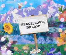 Peace Love Dream Sungzone GIF - Peace Love Dream Sungzone Nct Dream GIFs