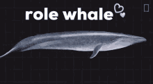 Rolewhale Role Whale GIF - Rolewhale Role Whale GIFs