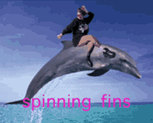 Jamilax Dolphin GIF - Jamilax Dolphin Spinning GIFs