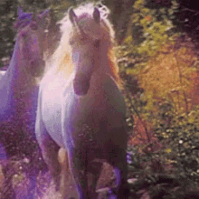 Christie Luv Unicorns GIF - Christie Luv Unicorns Running GIFs