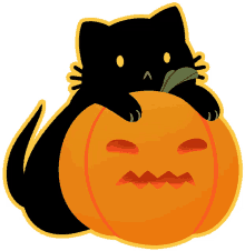 cat halloween kitty candy blink