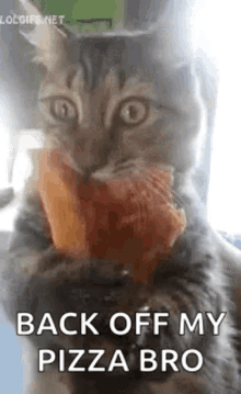 Cat Back Off GIF - Cat Back Off My Pizza Bro GIFs