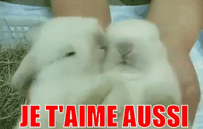 Je T Aime Aussi Gif Je Taime Aussi Discover Share Gifs