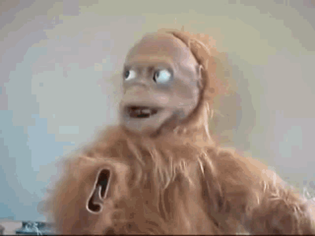 lucy-the-robot-orangutan.gif