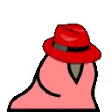 parrot wiggle dance hat red hat