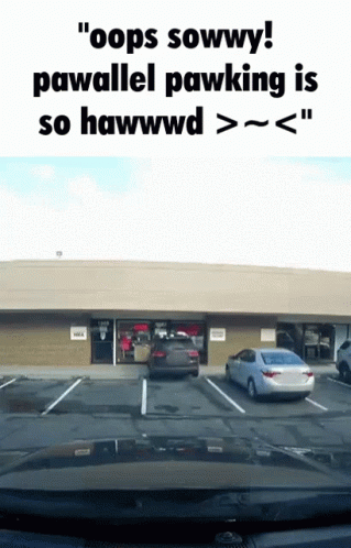 parallel-parking-driving-test.gif