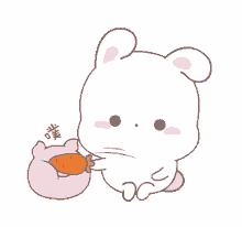 cute bunny