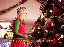 Are You Enjoying The View ? GIF - Holiday Classics Elf Are You GIFs