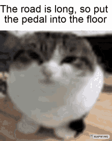 The Road Is Long So Put The Pedal Into The Floor Enemy GIF - The Road Is Long So Put The Pedal Into The Floor Enemy GIFs