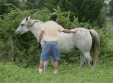 horse pet pat back scratch