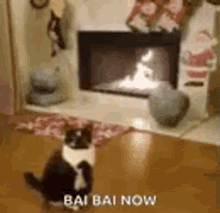 Cat Xmas GIF - Cat Xmas Gifts For Me GIFs