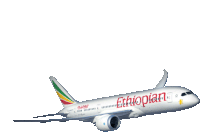 Ethiopianairlines Travel Sticker - Ethiopianairlines Airlines Travel Stickers