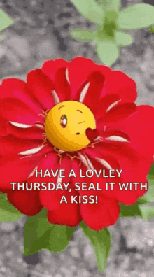emoji flowers thursday sealed with a kiss