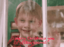 Merry Christmas Ya Filthy Animal Home Alone GIF - Merry Christmas Ya Filthy Animal Home Alone Snowing GIFs