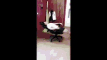 Redz Chair Spin GIF - Redz Chair Spin Spinbot GIFs