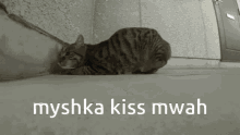 Myshka Brickhill GIF - Myshka Brickhill Kiss GIFs