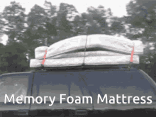 Memory Foam Mattress Humping GIF - Memory Foam Mattress Humping Mattress GIFs