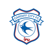 Cardiff City Sticker - Cardiff City Stickers