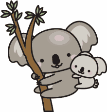 koala koala bear cute piggy back ride hug