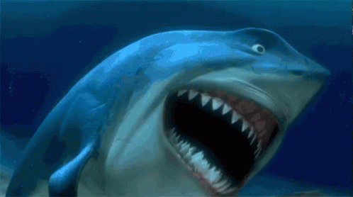 Bruce Nemo GIF - Bruce Nemo Shark GIFs