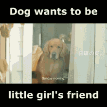 Dog Lion GIF - Dog Lion Friend GIFs