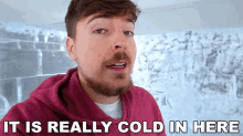 It Is Really Cold In Here Mr Beast GIF - It Is Really Cold In Here Mr Beast Its Freezing In Here GIFs