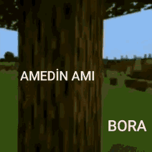 Bora Amedi Sikerkene GIF - Bora Amedi Sikerkene GIFs