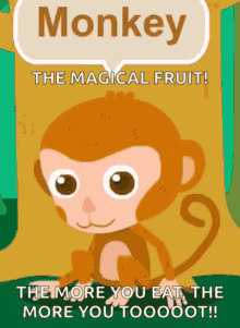 monkey eating the fruit