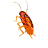 Cockroach Dancing Sticker - Cockroach Dancing Stickers