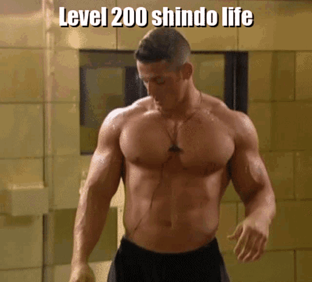 Shindo Life Roblox GIF 