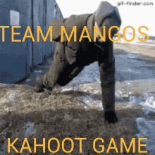 team mangos kahoot game texas mango kahot