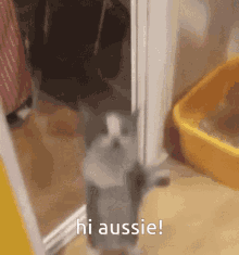 Hi Aussie Aussie GIF - Hi Aussie Aussie William GIFs