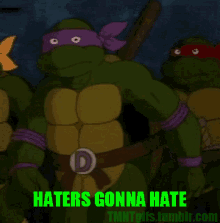 tmnt haters gonna hate haters teenage mutant ninja turtles