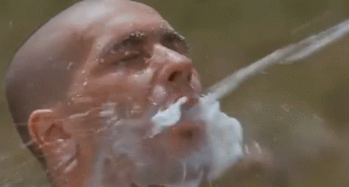 weird-cat.gif