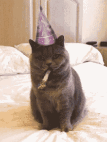 Celebrate Cat GIF - Celebrate Cat Party Horn GIFs