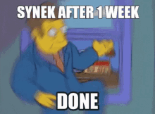synek mod