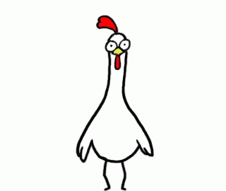 chicken-chicken-bro.gif