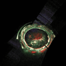 Jupiter'S Aurora GIF - Nasa Nasa Gifs Jupiter GIFs