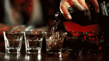 Whiskey Shots GIF - Bar Shots Drinking GIFs